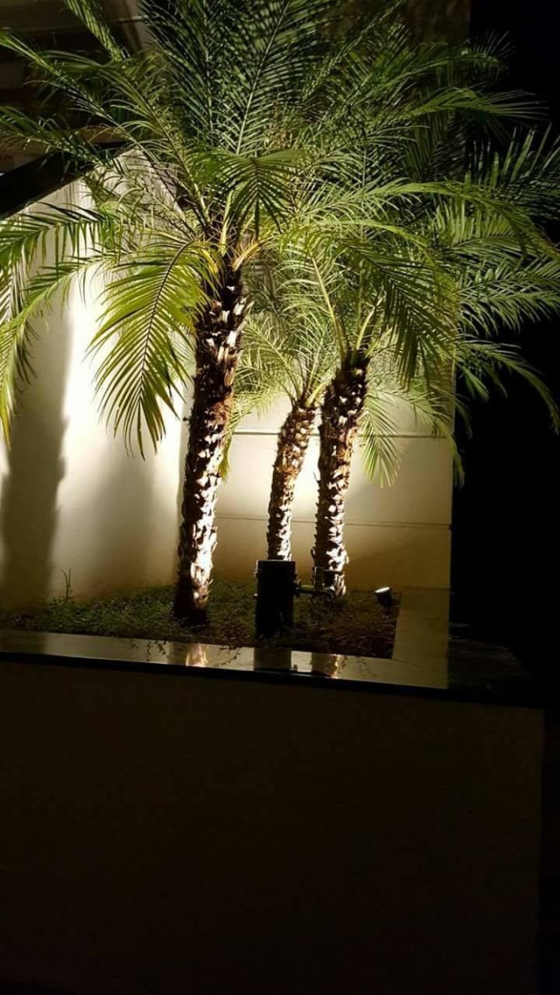 Paisagismo